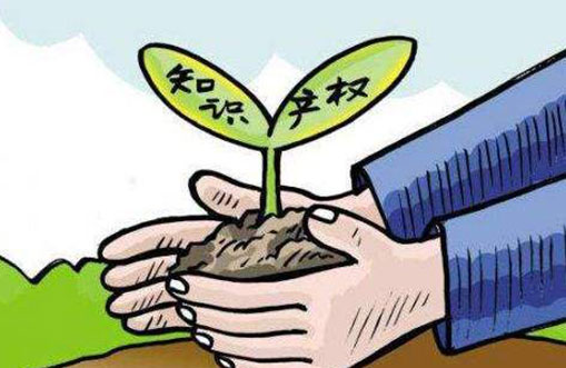 知识产权贯标，所能网络在行动！