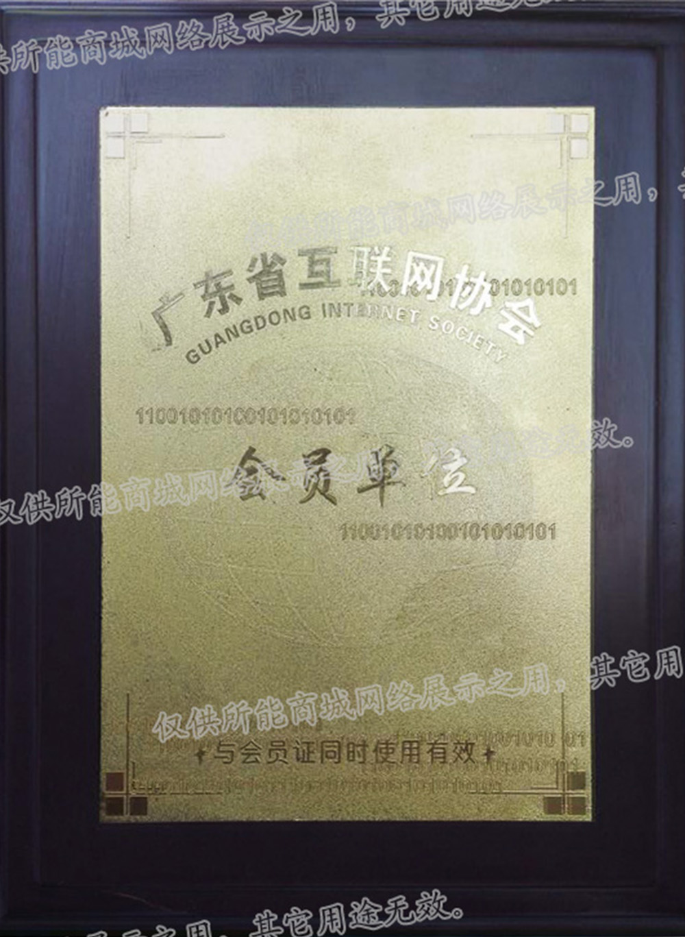 广东省互联网协会
